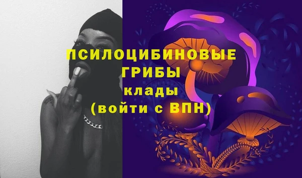 ГАЛЛЮЦИНОГЕННЫЕ ГРИБЫ Семикаракорск