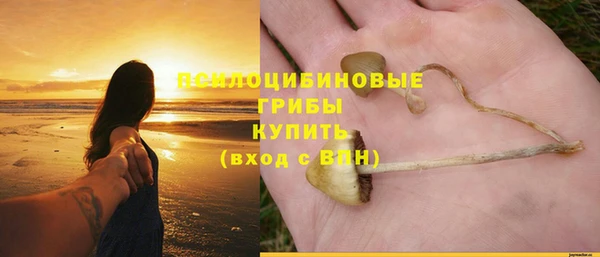 ешки Абдулино