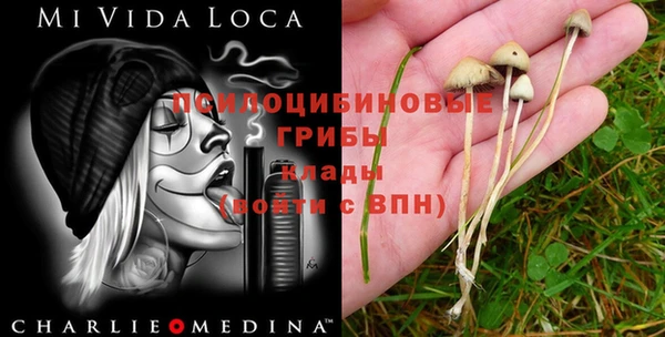 ешки Абдулино