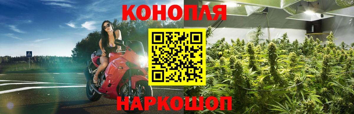 Бошки марихуана MAZAR  Шишки марихуана тримм  Азов  Вход с VPN  Шишки марихуана индика  МАРИХУАНА индика 